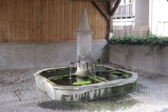 IMG_5881